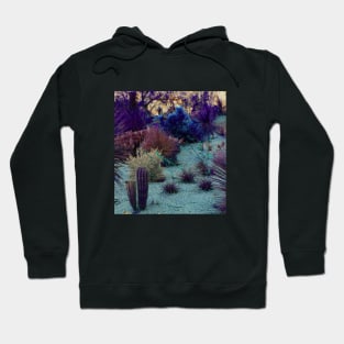 Purple Deseret Hoodie